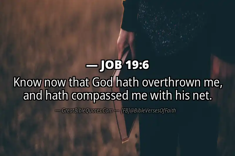 JOB 19:6 Verse
