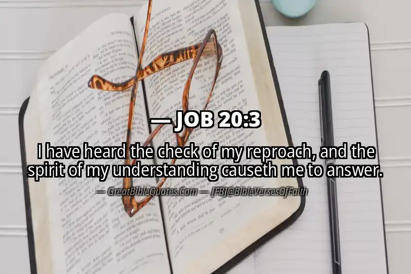 JOB 20:3 Verse