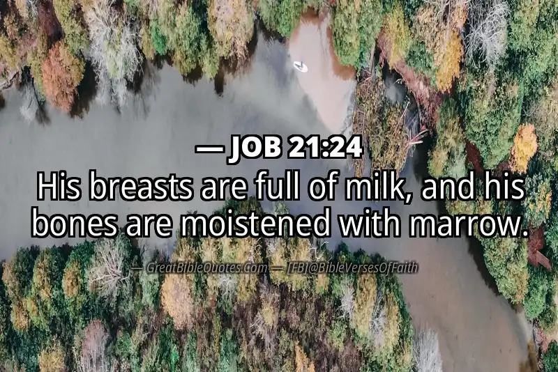 JOB 21:24 Verse