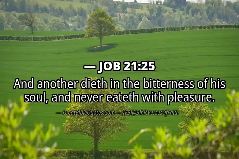JOB 21:25 Verse