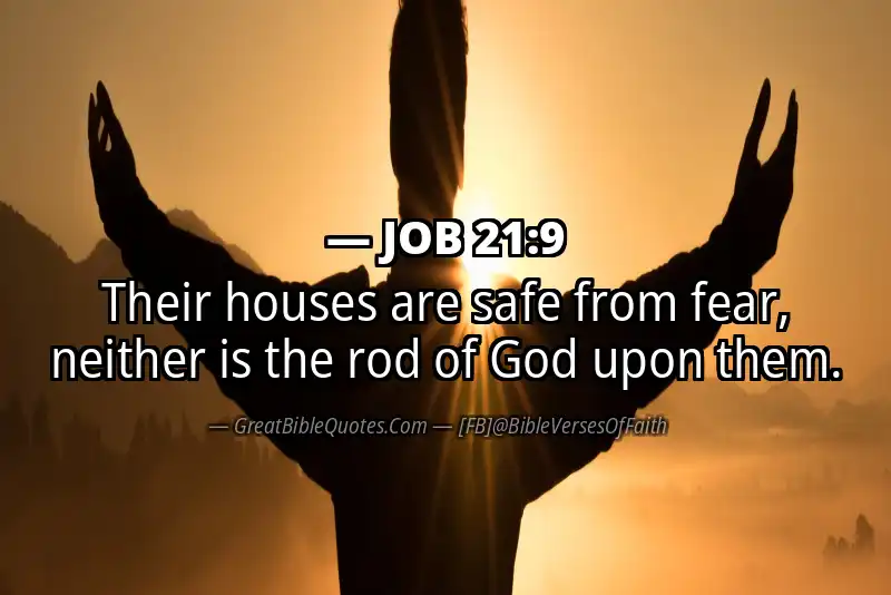 JOB 21:9 Verse