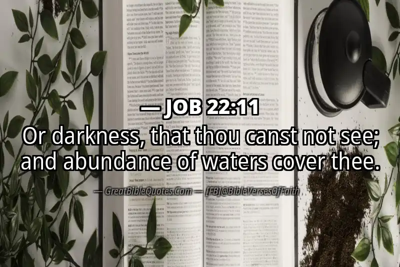 JOB 22:11 Verse