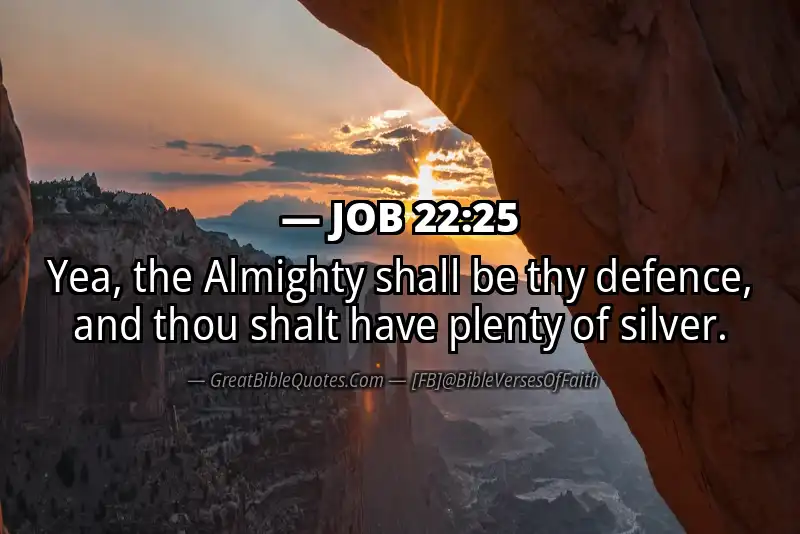 JOB 22:25 Verse