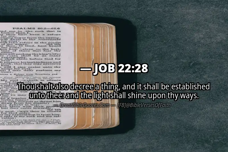 JOB 22:28 Verse