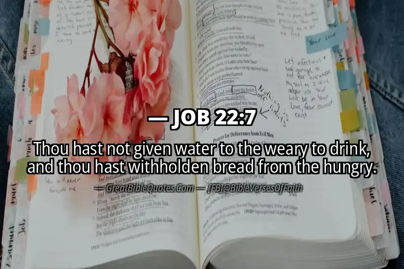 JOB 22:7 Verse