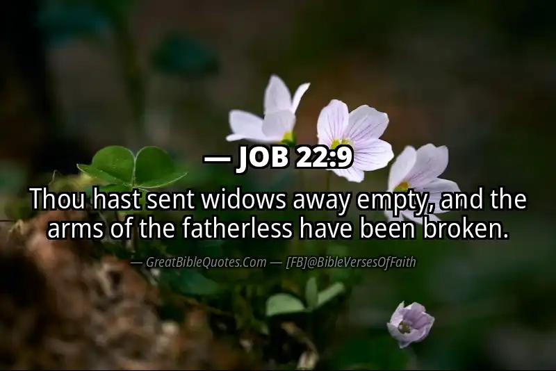 JOB 22:9 Verse Image