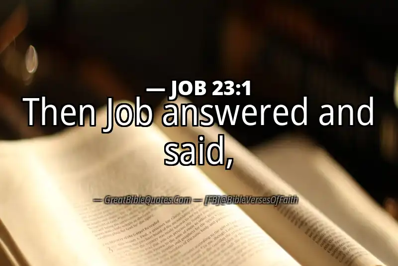 JOB 23:1 Verse