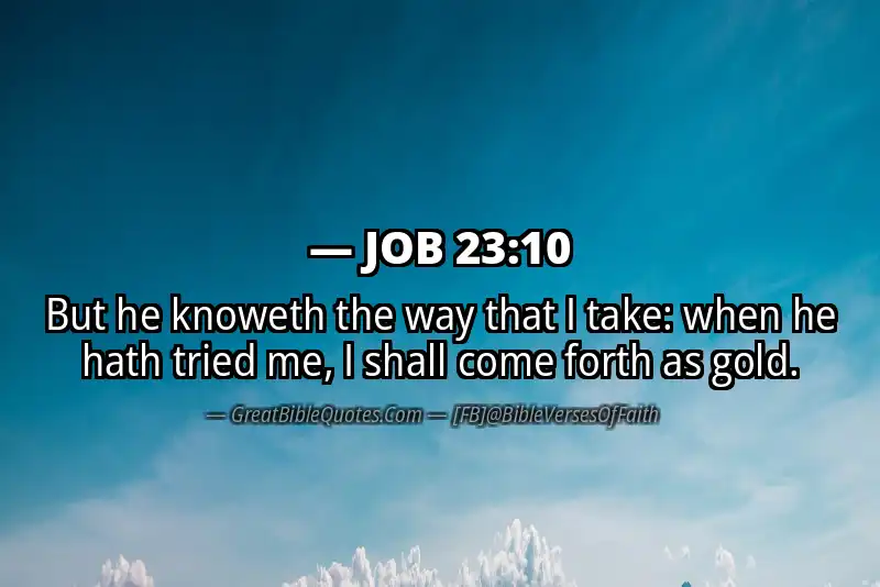 Image for JOB 23:10 Bible verse