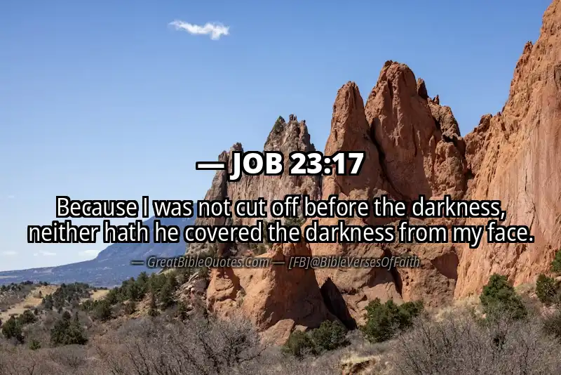 JOB 23:17 Verse