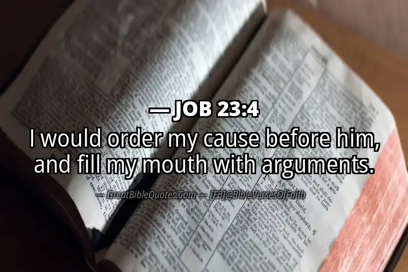 JOB 23:4 Verse