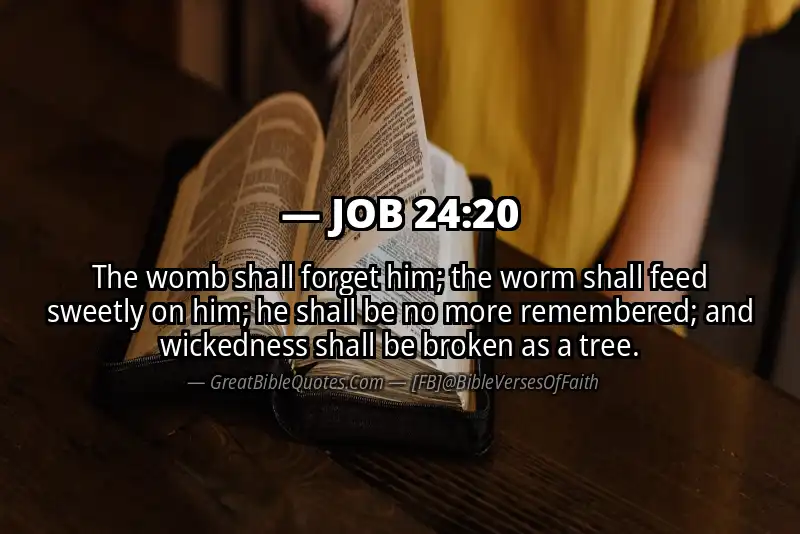 JOB 24:20 Verse Image