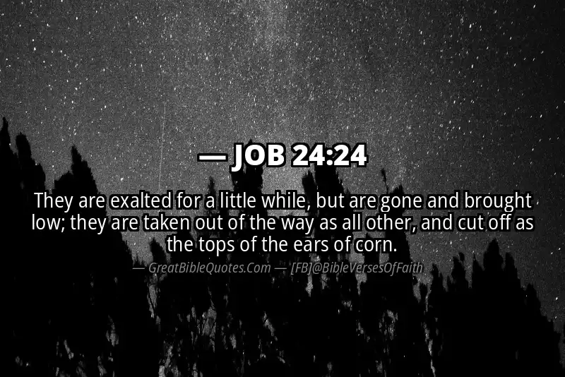 JOB 24:24 Verse Image
