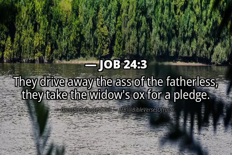 JOB 24:3 Verse