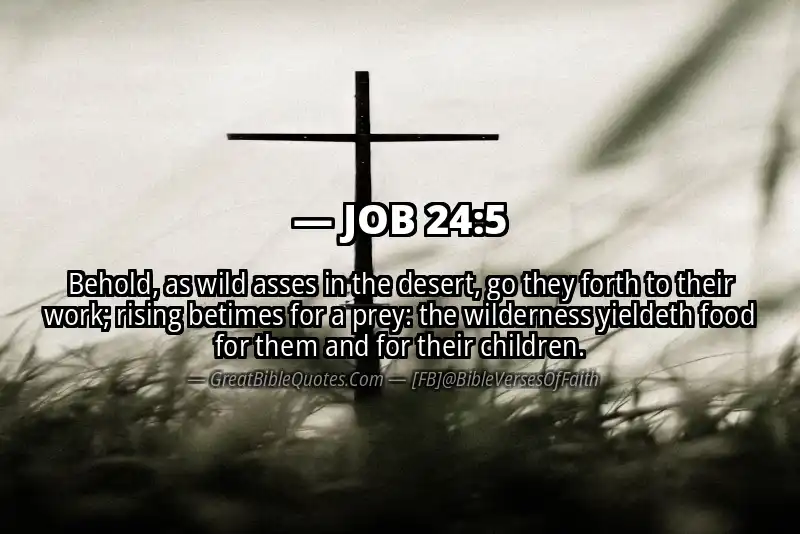 JOB 24:5 Verse