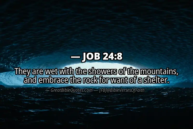 JOB 24:8 Verse