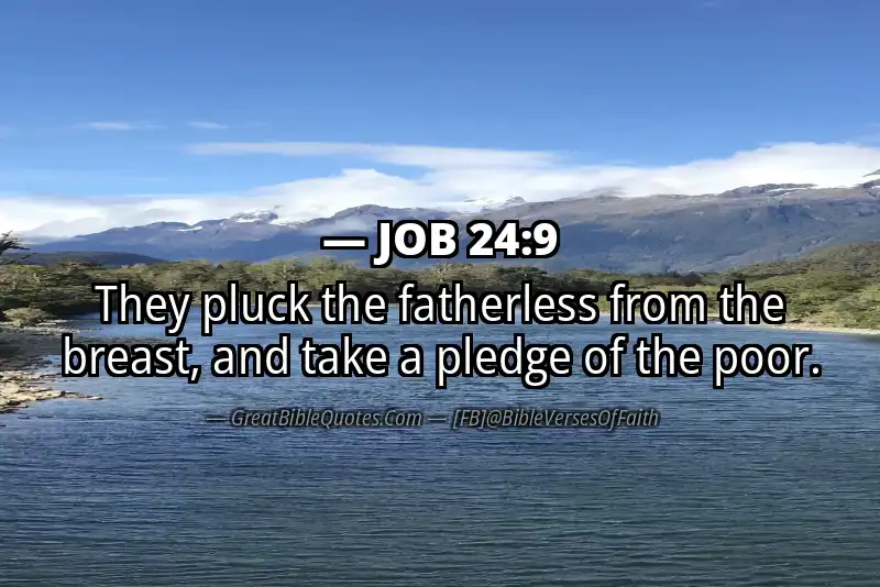 JOB 24:9 Verse