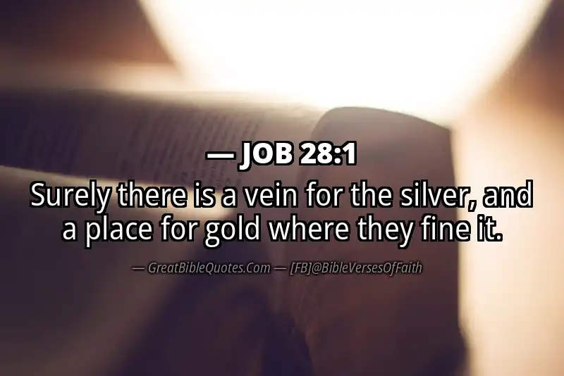 JOB 28:1 Verse
