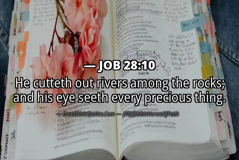 JOB 28:10 Verse