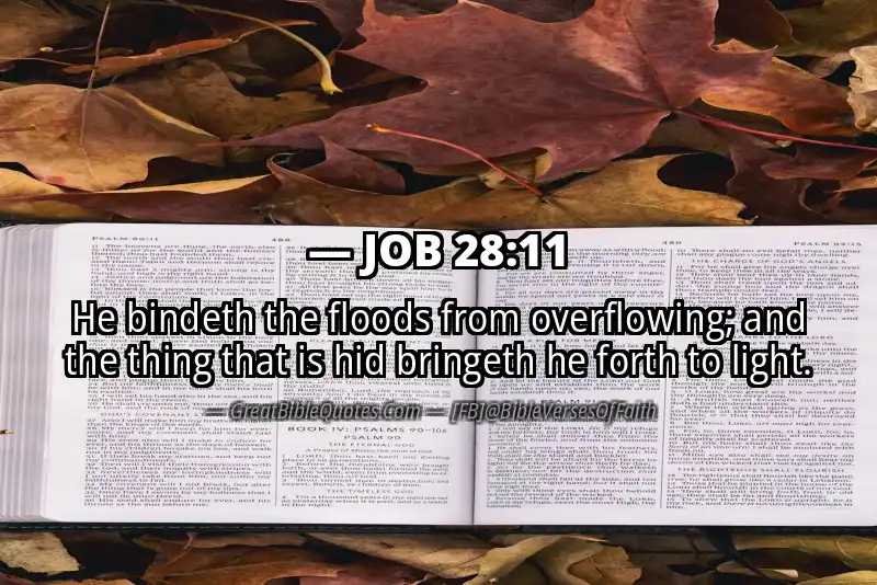 JOB 28:11 Verse