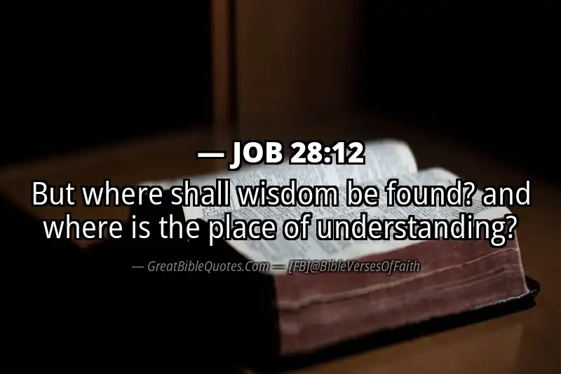 JOB 28:12 Verse