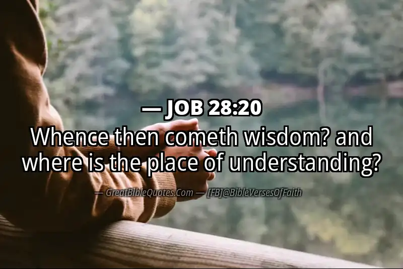 JOB 28:20 Verse