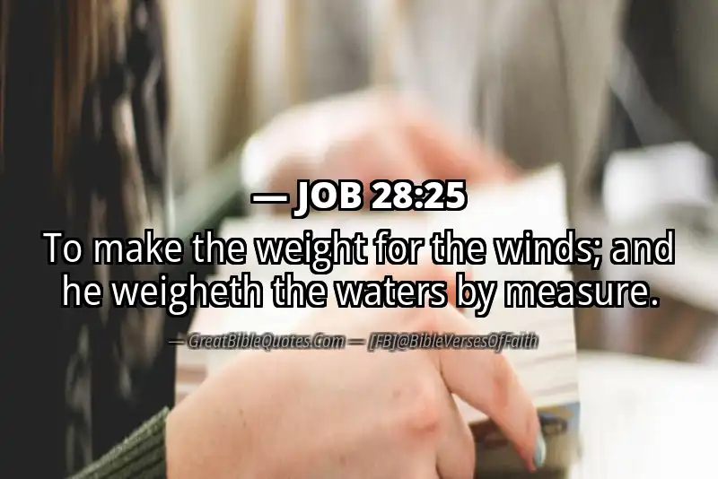 JOB 28:25 Verse