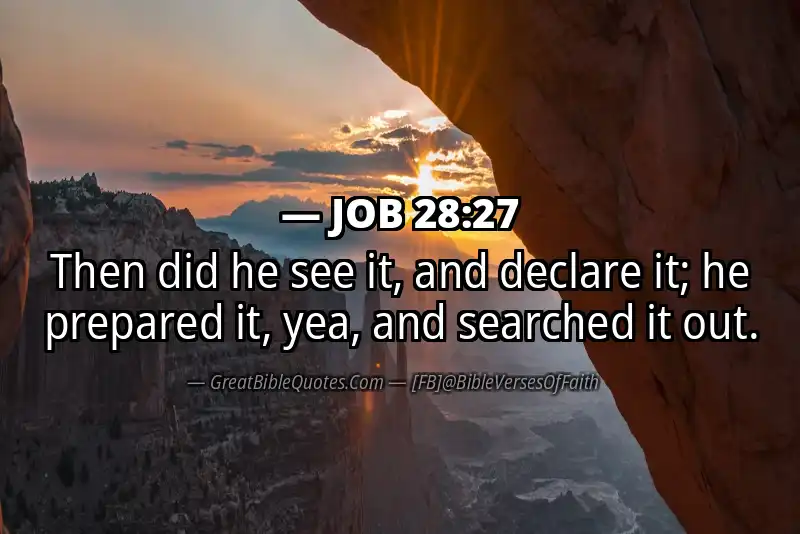 JOB 28:27 Verse