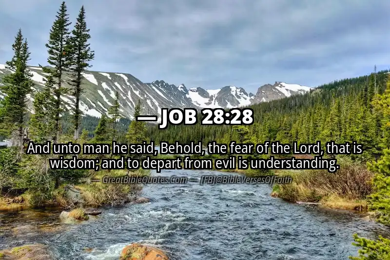 Image for JOB 28:28 Bible verse