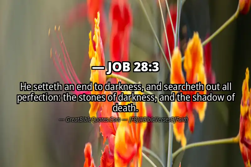 JOB 28:3 Verse Image