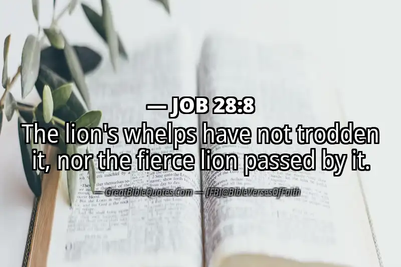 JOB 28:8 Verse