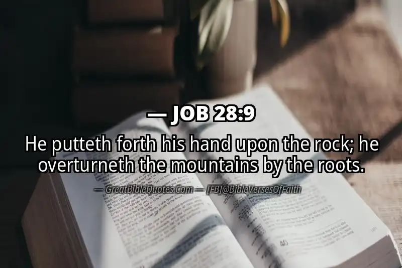 JOB 28:9 Verse