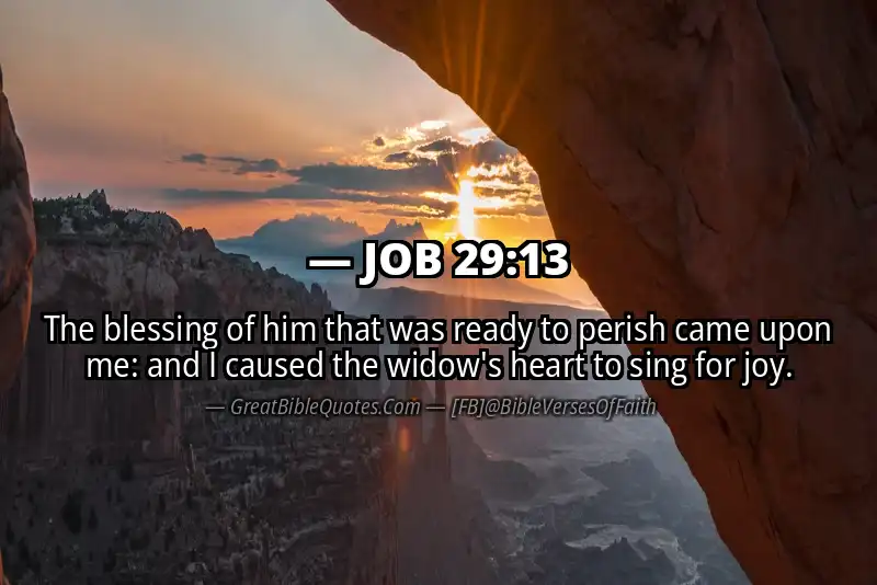 JOB 29:13 Verse