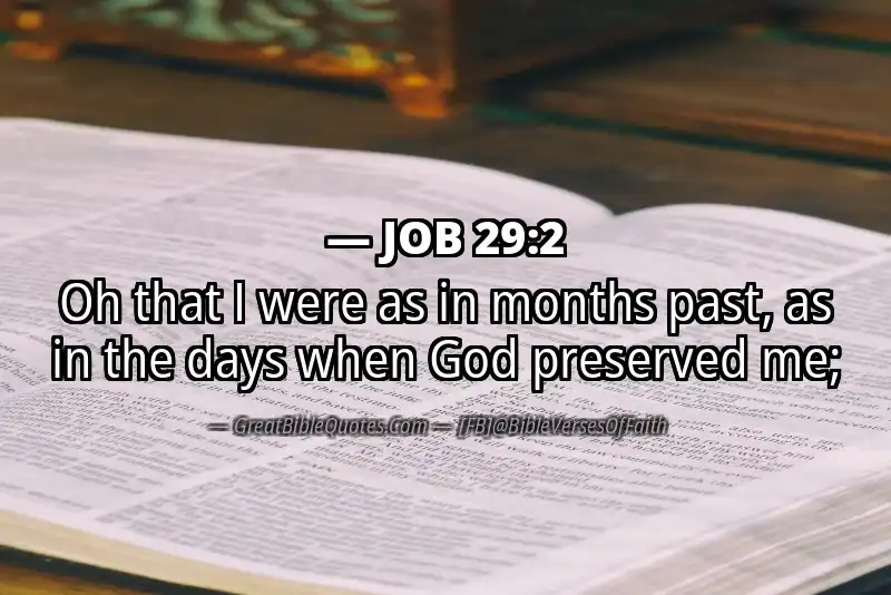 JOB 29:2 Verse