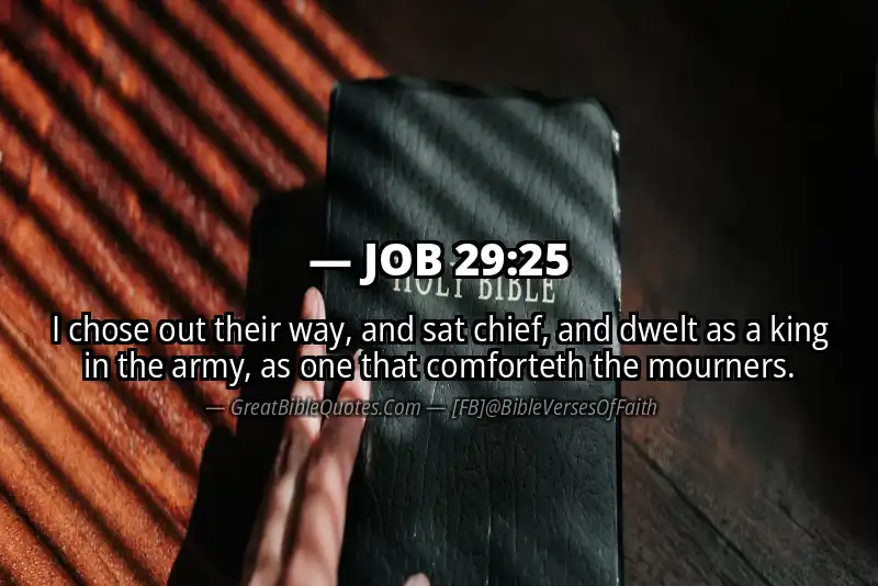 JOB 29:25 Verse