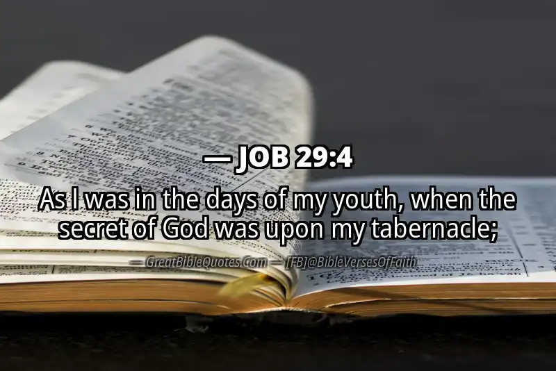 JOB 29:4 Verse