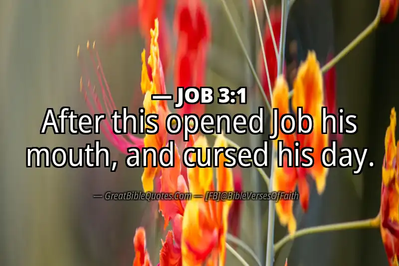 JOB 3:1 Verse Image