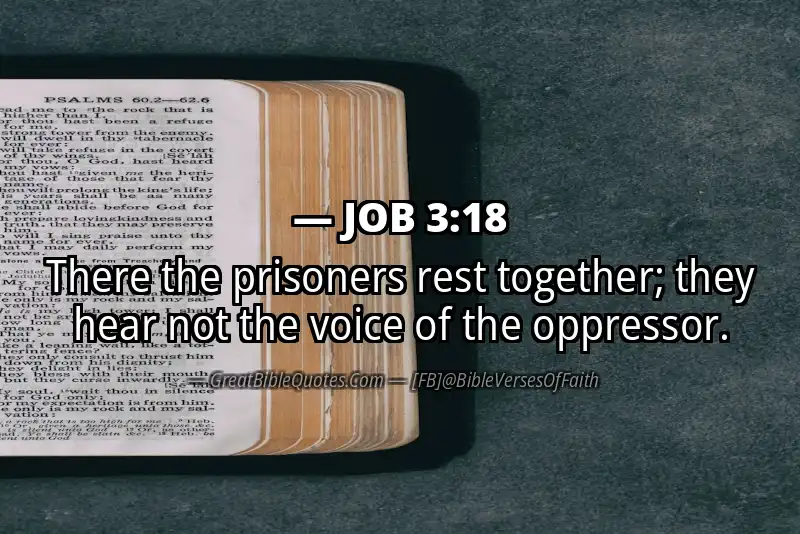 JOB 3:18 Verse