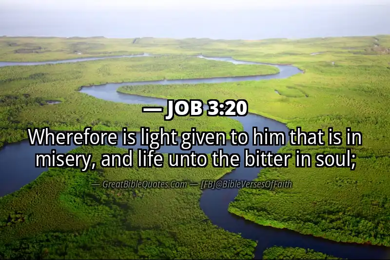 JOB 3:20 Verse Image