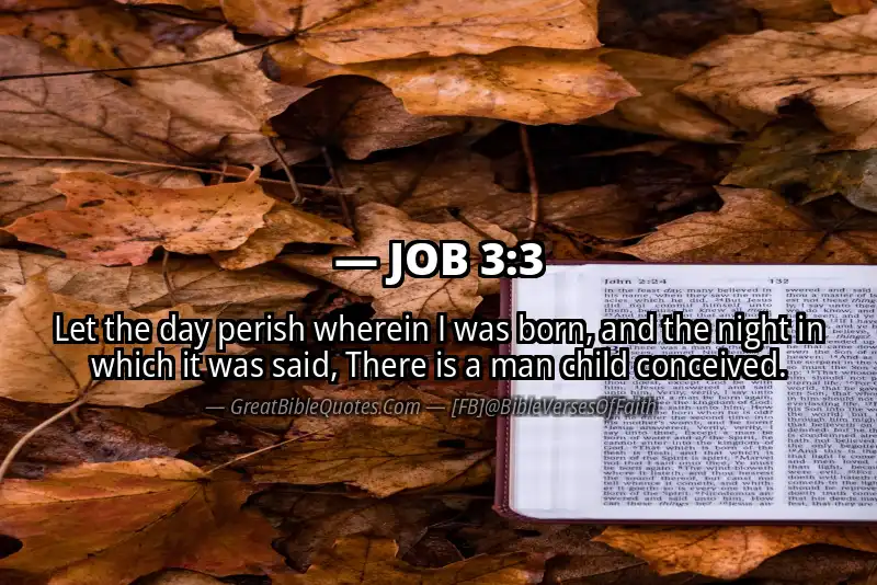 JOB 3:3 Verse