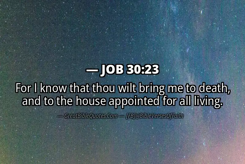 JOB 30:23 Verse