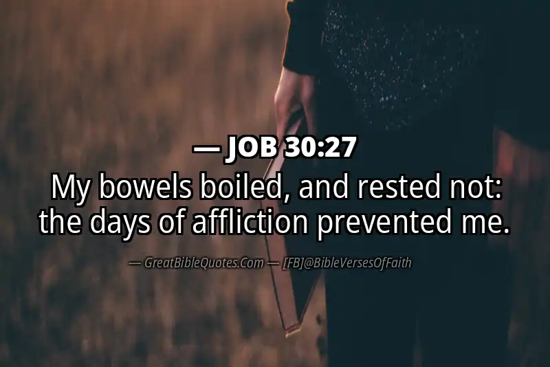 JOB 30:27 Verse Image