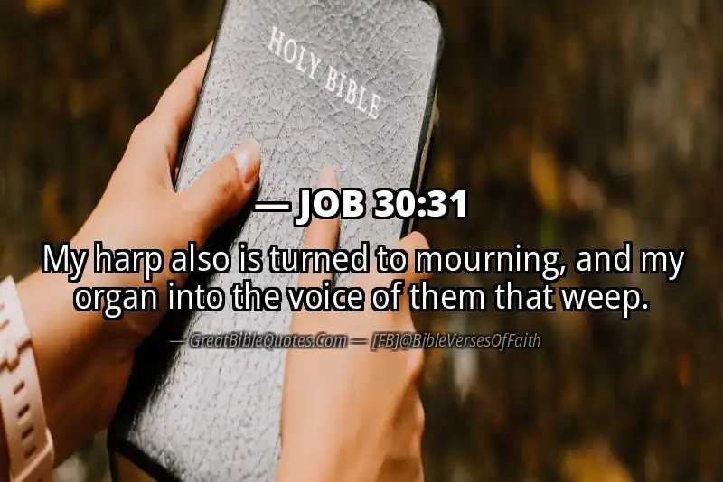 JOB 30:31 Verse