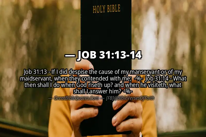Image for JOB 31:13-14 Bible verse