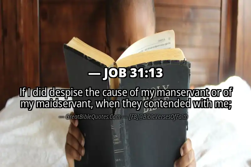 JOB 31:13 Verse