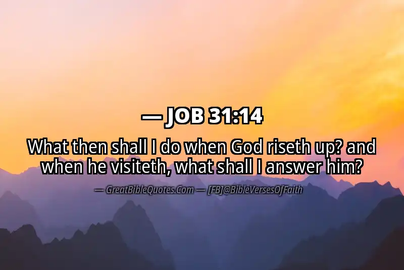 JOB 31:14 Verse