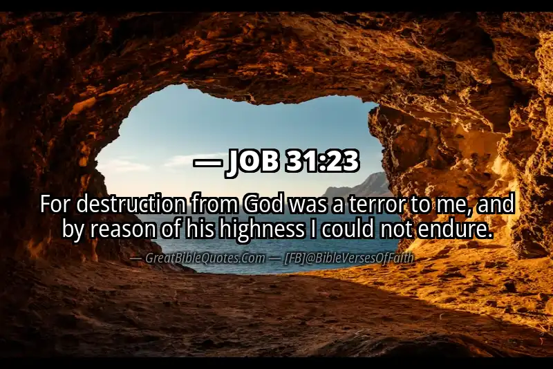 JOB 31:23 Verse