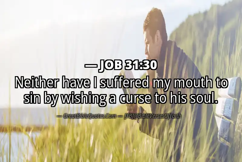 JOB 31:30 Verse