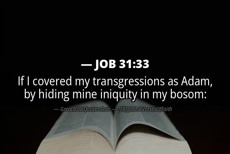 JOB 31:33 Verse