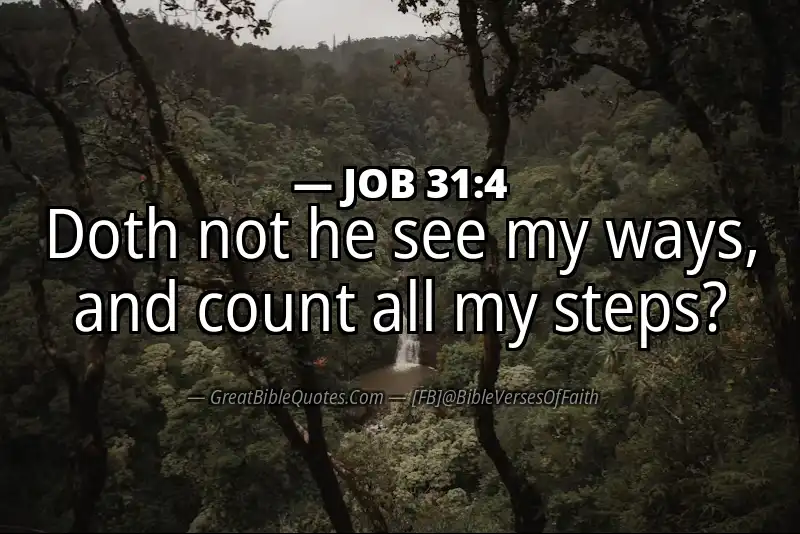 JOB 31:4 Verse