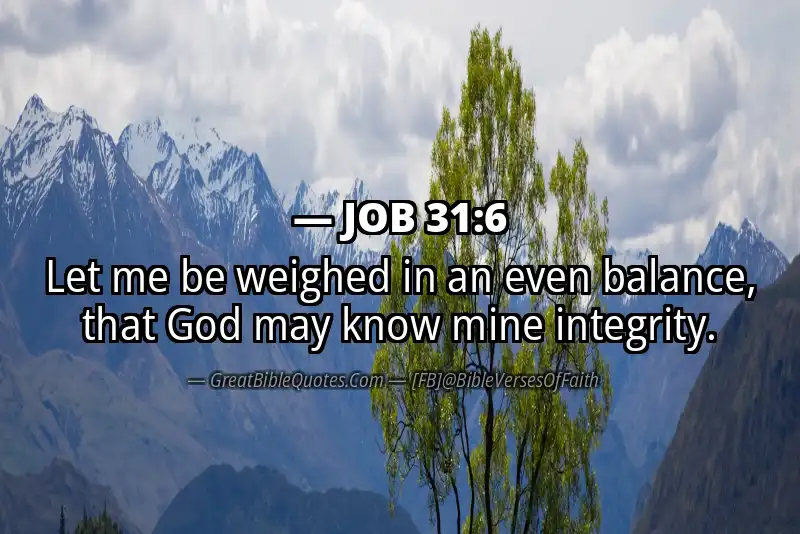 JOB 31:6 Verse